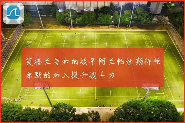 英格兰与加纳战平阿兰帕杜期待帕尔默的加入提升战斗力